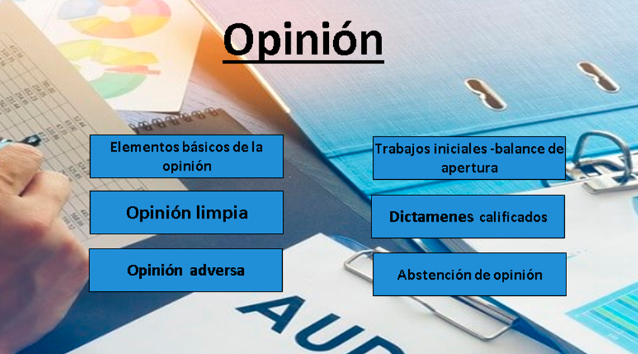 Herramienta Integral Para El Ejercicio De La Revisoría Fiscal